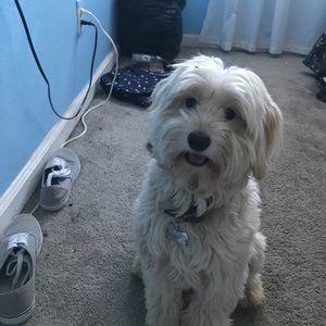 Meet your Posher, Isabelle